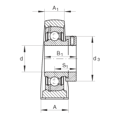 直立式軸承座單元 PASE40-N-FA125, 鑄鐵軸承座，帶偏心鎖圈的外球面球軸承，P 型密封，耐腐蝕保護