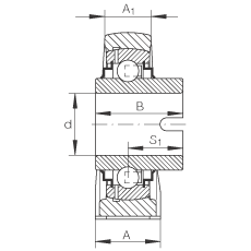 直立式軸承座單元 RASEL20-N, 鑄鐵軸承座，浮動(dòng)軸承，內(nèi)圈有驅(qū)動(dòng)槽，R 型密封